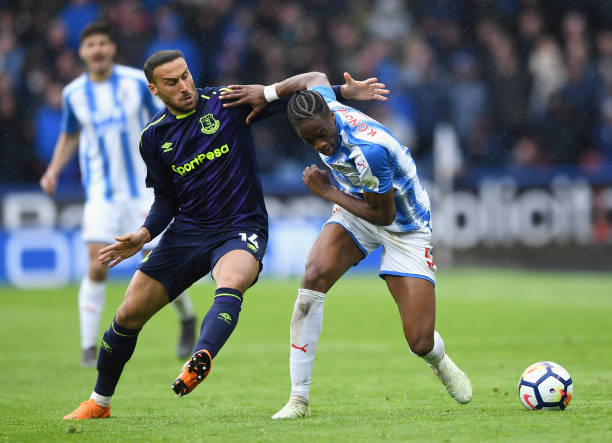 戈贝尔与唐 戈贝尔与唐