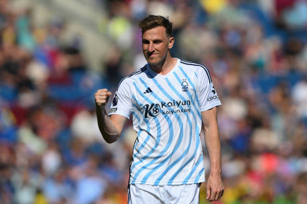 这样一支野 这样一支野